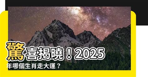 2025屬什麼